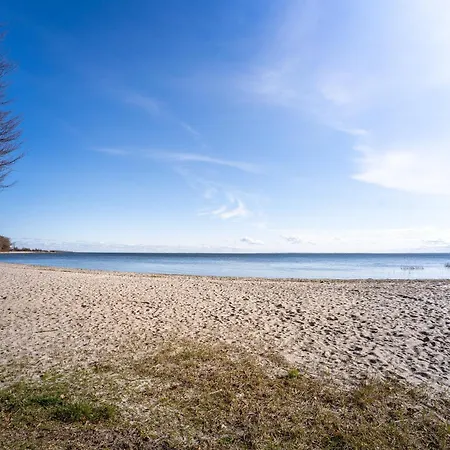 Haffhaeuser Am Stettiner Haff Haus 1 We 4 Golf Special Buchbar *