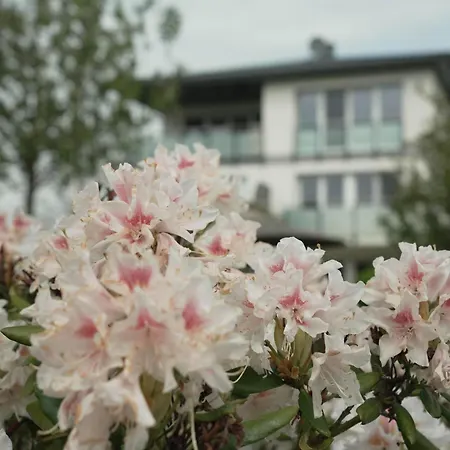 Haffhaeuser Am Stettiner Haff Haus 1 We 4 Golf Special Buchbar Appartement