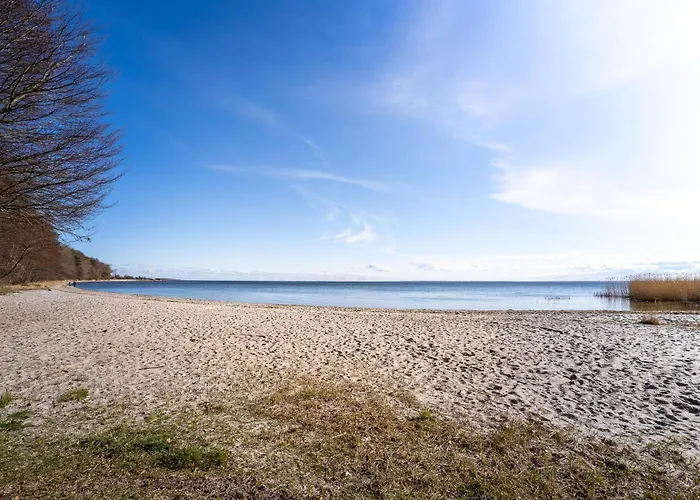 Haffhaeuser Am Stettiner Haff Haus 1 We 4 Golf Special Buchbar *