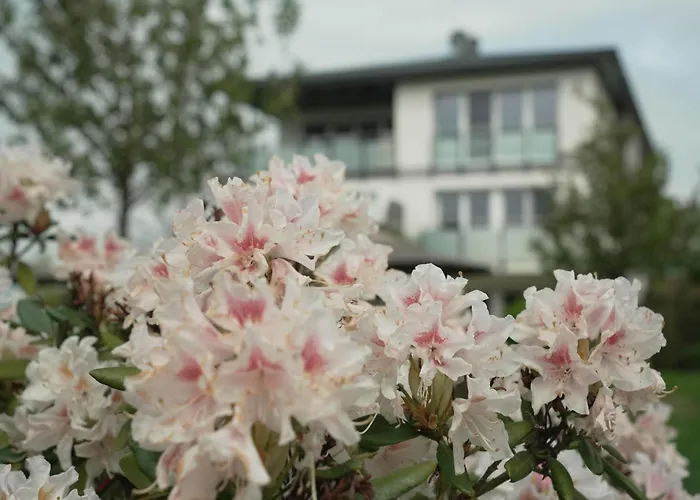 Haffhaeuser Am Stettiner Haff Haus 1 We 4 Golf Special Buchbar アパート